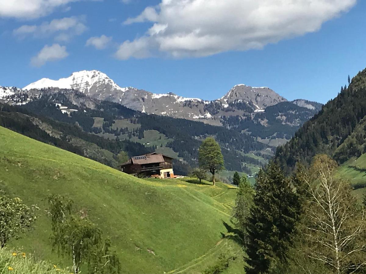 Haus Scharl Appartement Grossarl Buitenkant foto